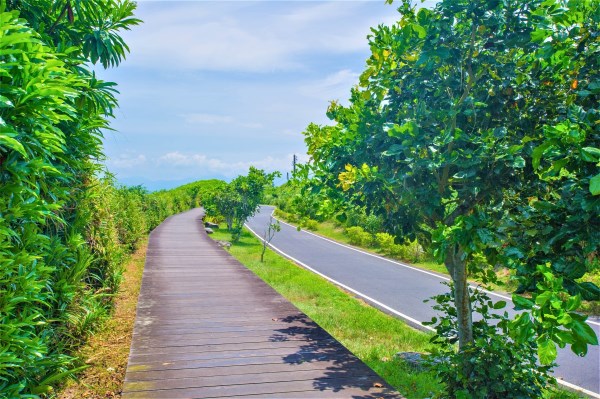 宜蘭海浜サイクリング道路