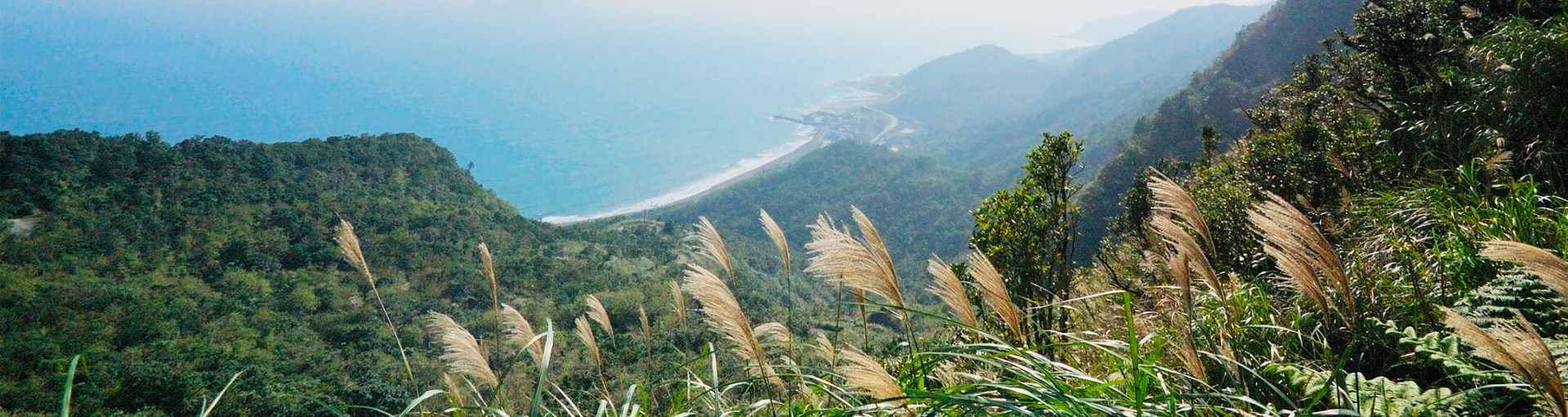 Caoling Đường cổ Manghua Mùa