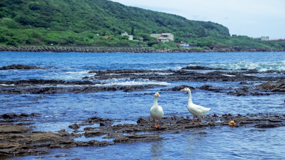 卯澳海邊