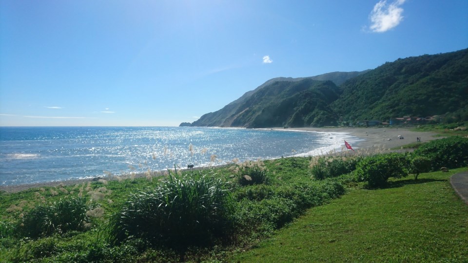  陽光下的海灣曲線