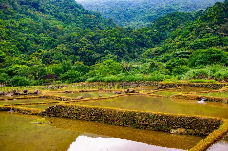 梯田近景