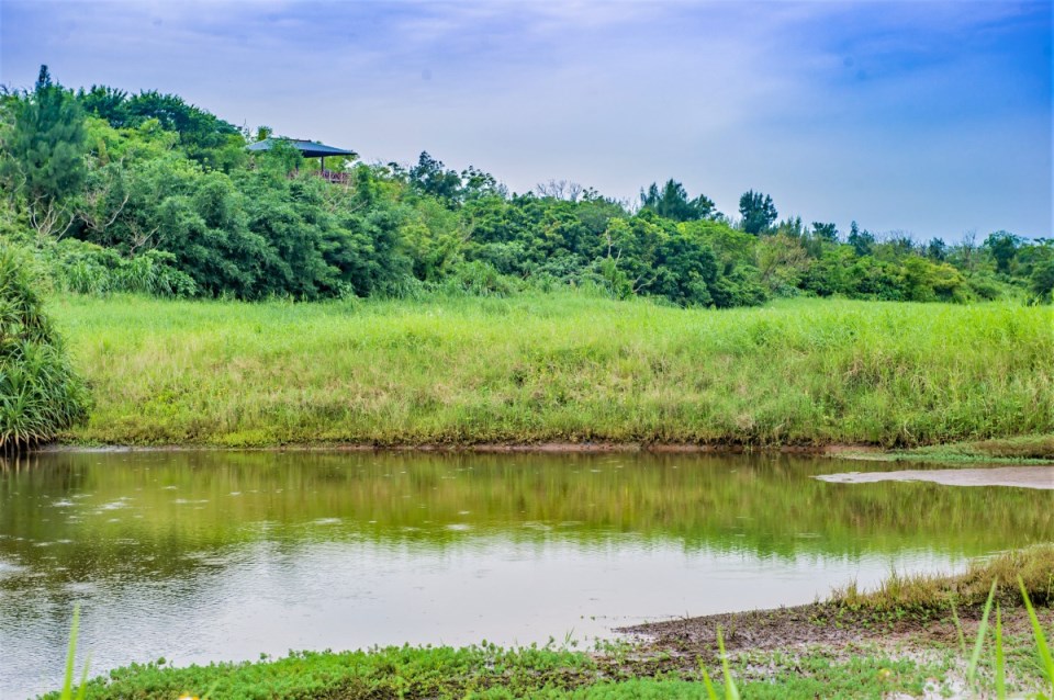 Giàu sinh thái thực vật