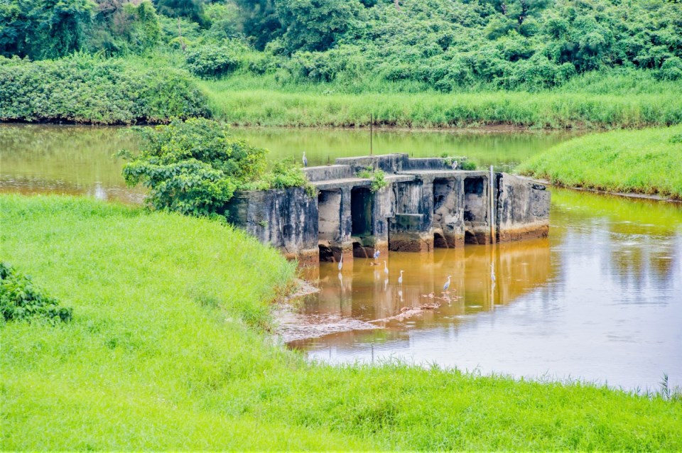 Wuwei Port Waterbird Conservation Area