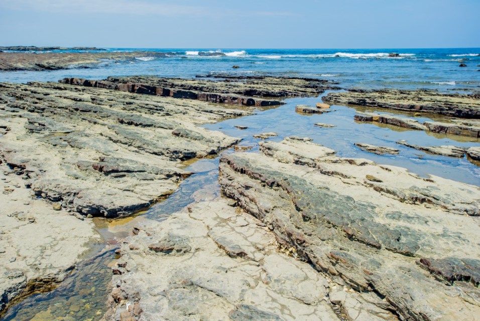 Ekologi geologi zona intertidal Magang