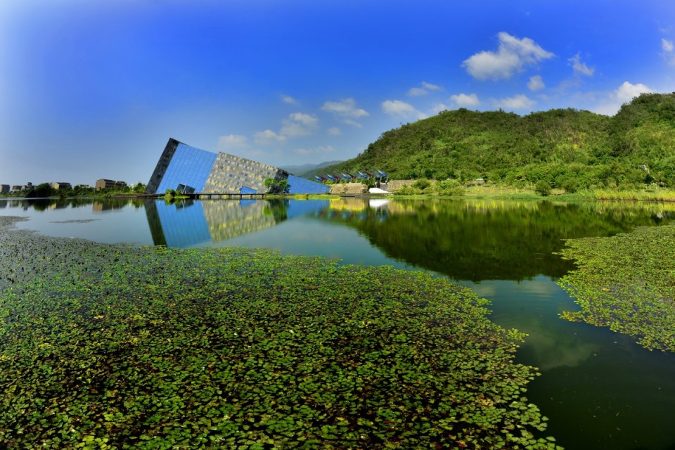 Li Huimin-Hòa xanh xanh