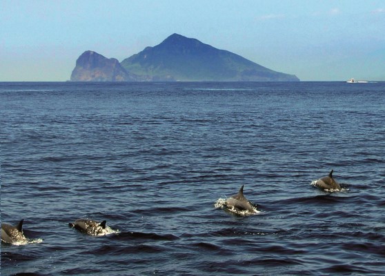 亀山島のクジラ イルカウォッチング 東北角及び宜蘭海岸国家風景区観光情報サイト