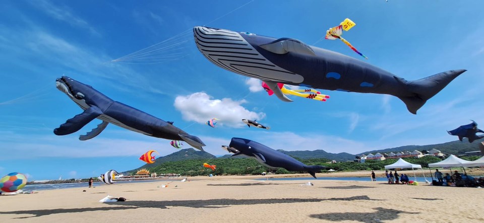 海洋風箏嘉年華