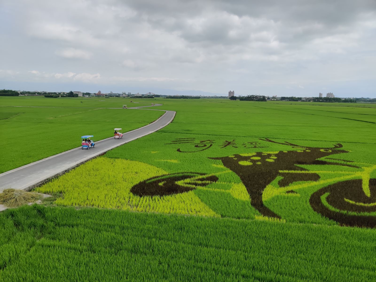 Naiki kuda besi dengan santai dan nikmati pemandangan indah deburan ombak di "Jalur Sawah Sanqi" di Jalan Yilan Burang.