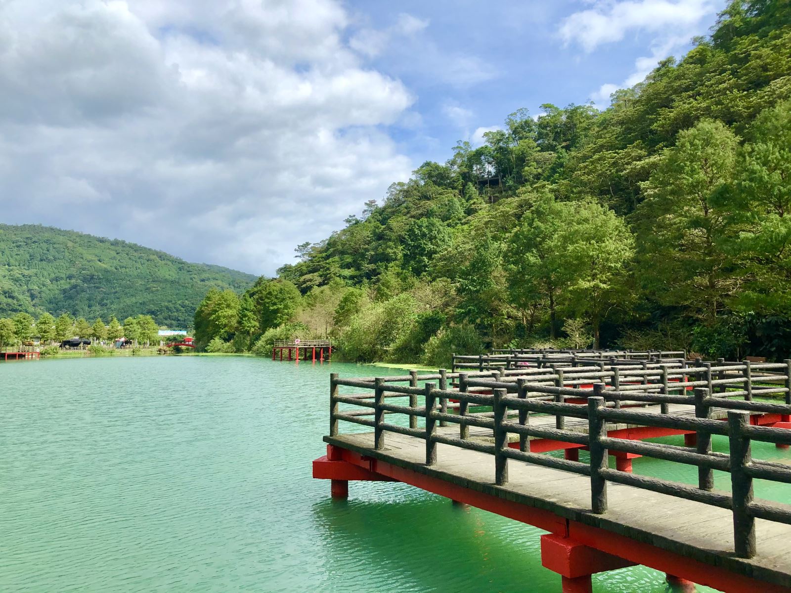 トングを楽しむ聖地「王龍平」の麹橋からは、湖に足を踏み入れることができます。