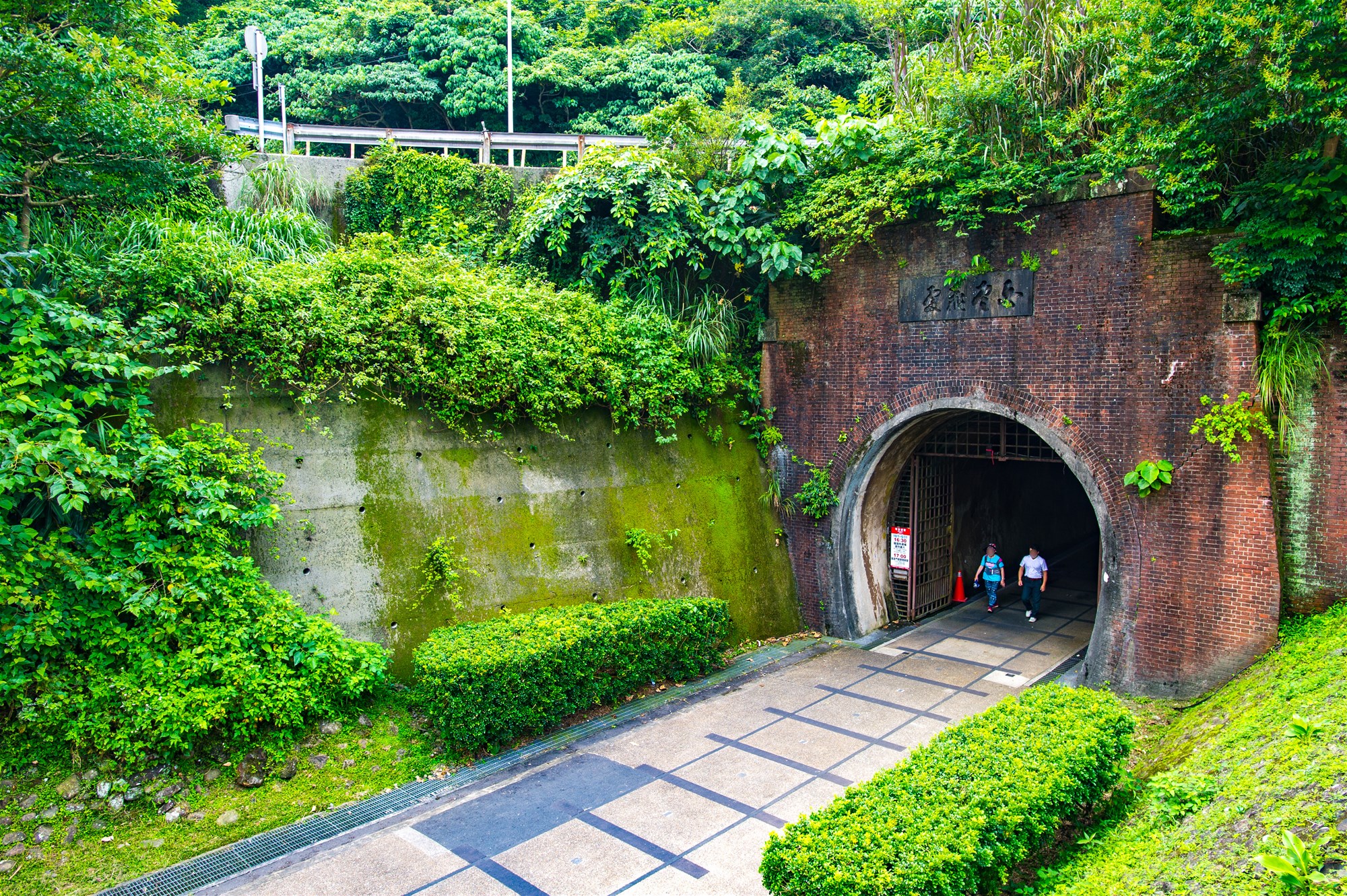 古い草の尾根