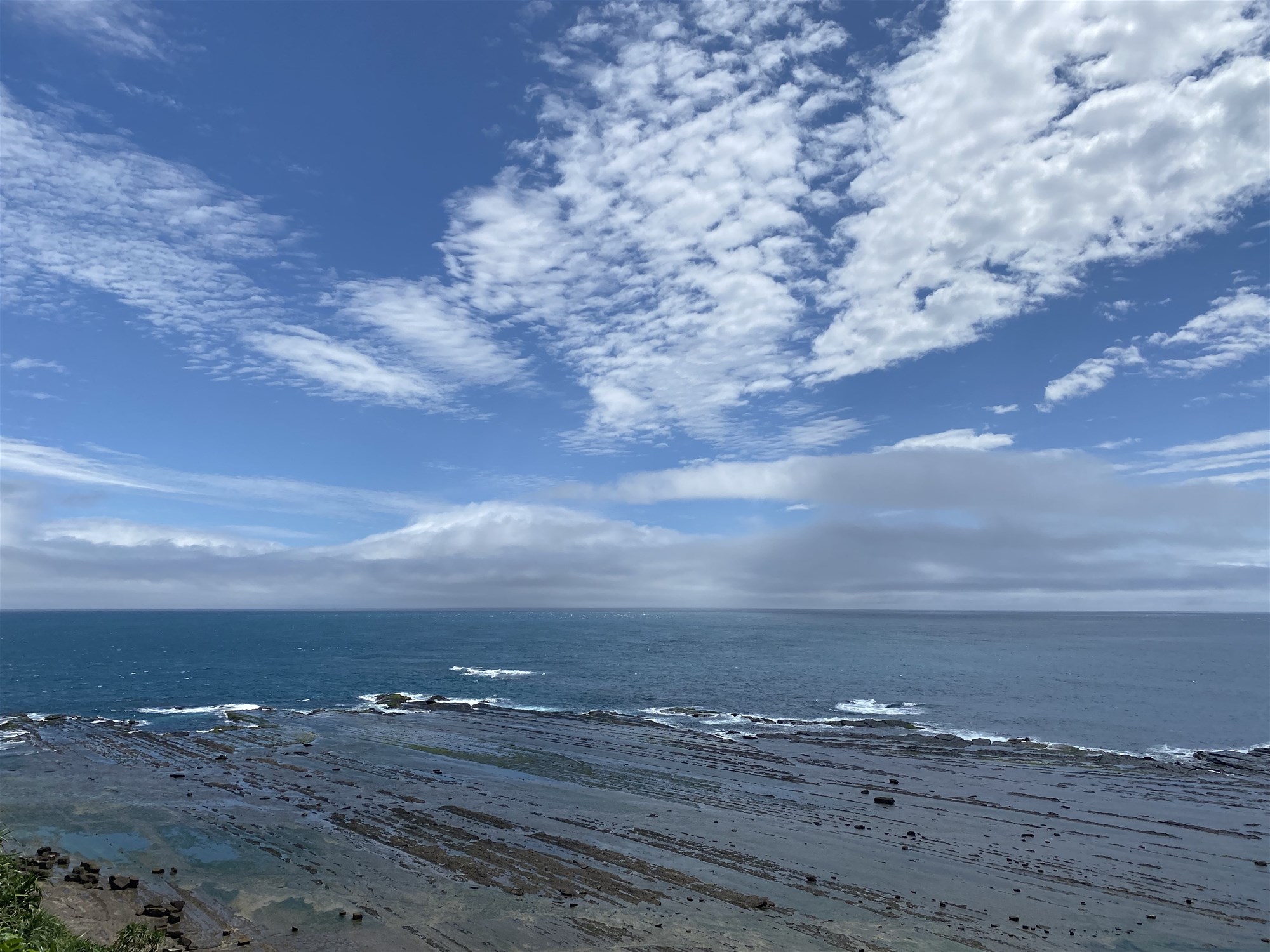 Magang intertidal zone