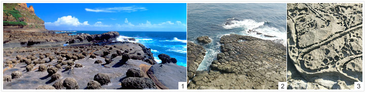 圖為 : 1.鼻頭角、2.海蝕溝、3.生痕化石