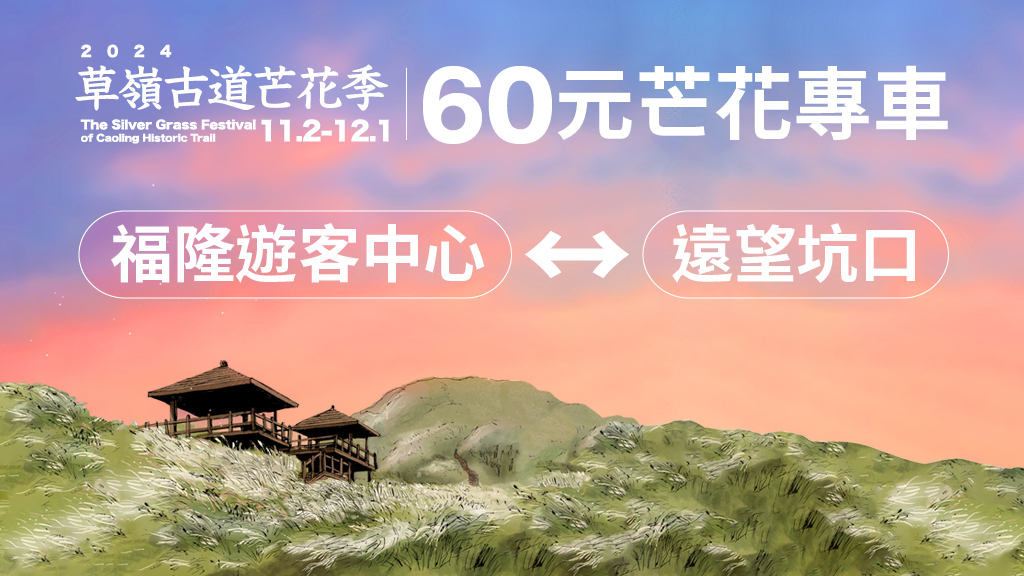 60元芒花專車