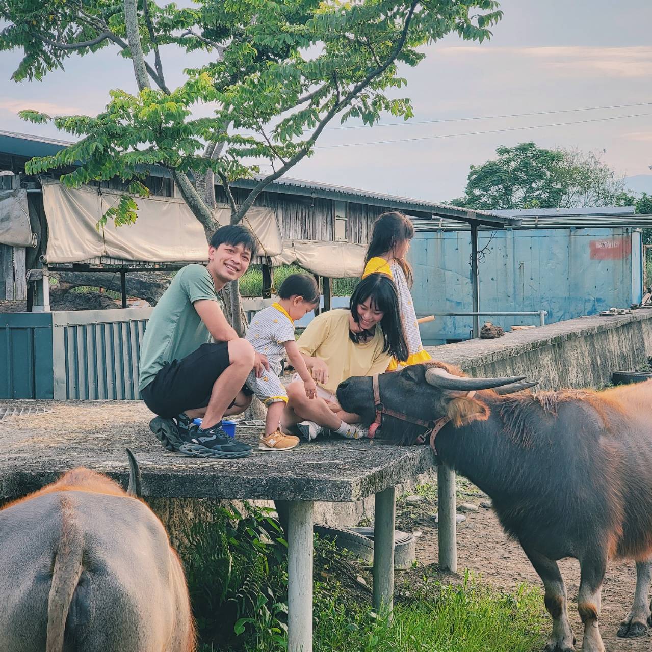 Niutousi Experience Farm