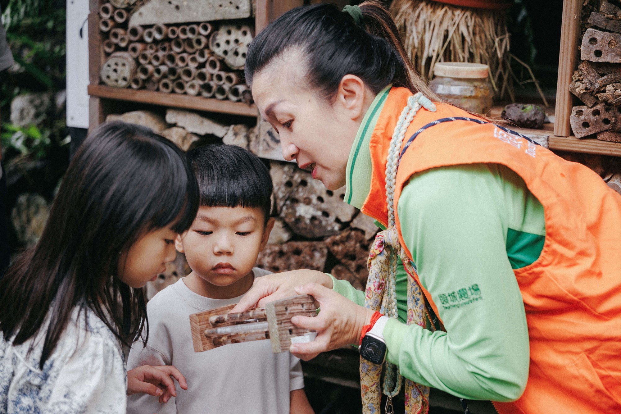 孩子們專心聽生態解說
