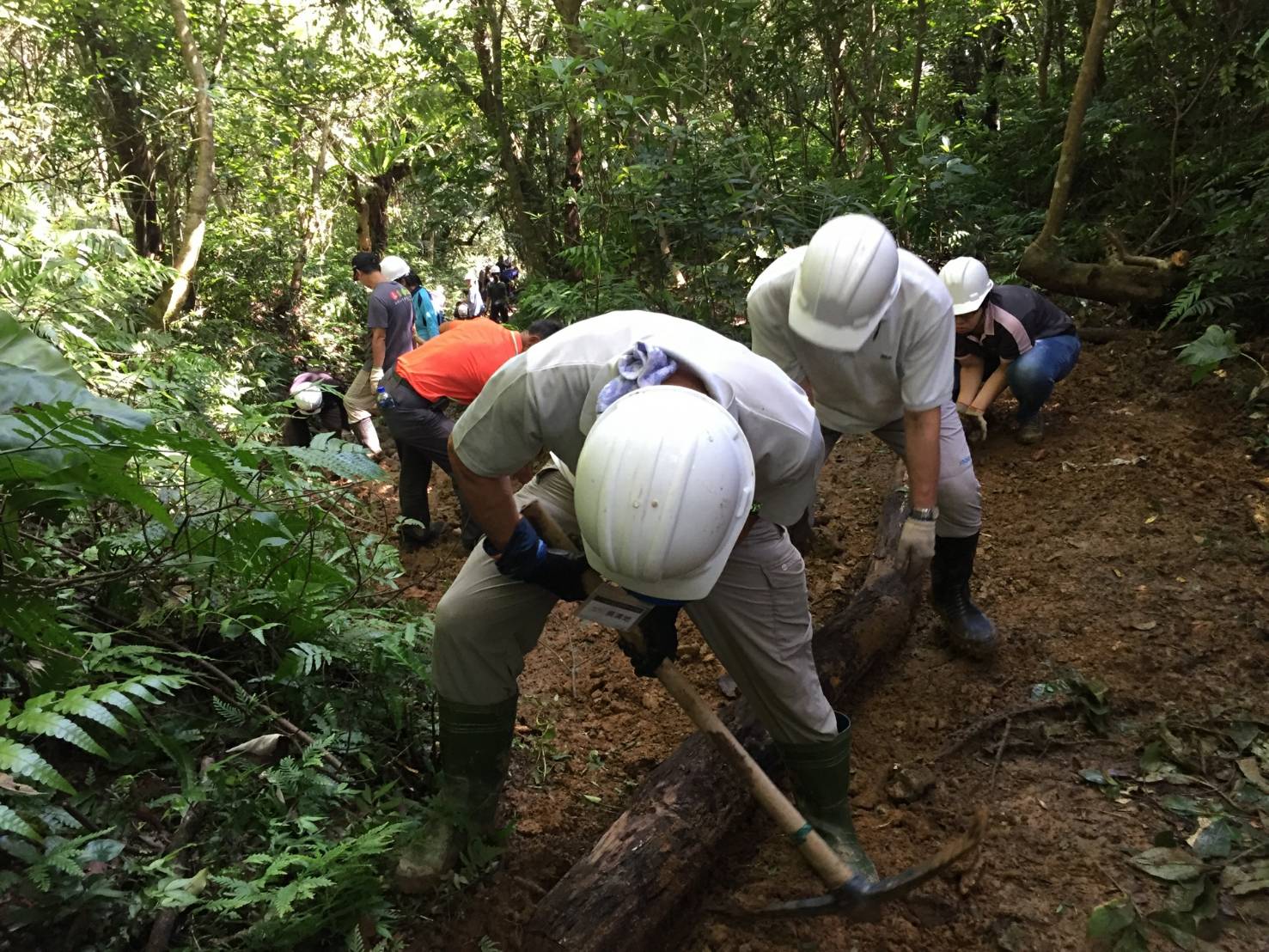 Under the leadership of the foreign Australian community guides, volunteers have a step-by-step understanding of the history of ancient roads and the story of the stone-walled settlement and the land temple.