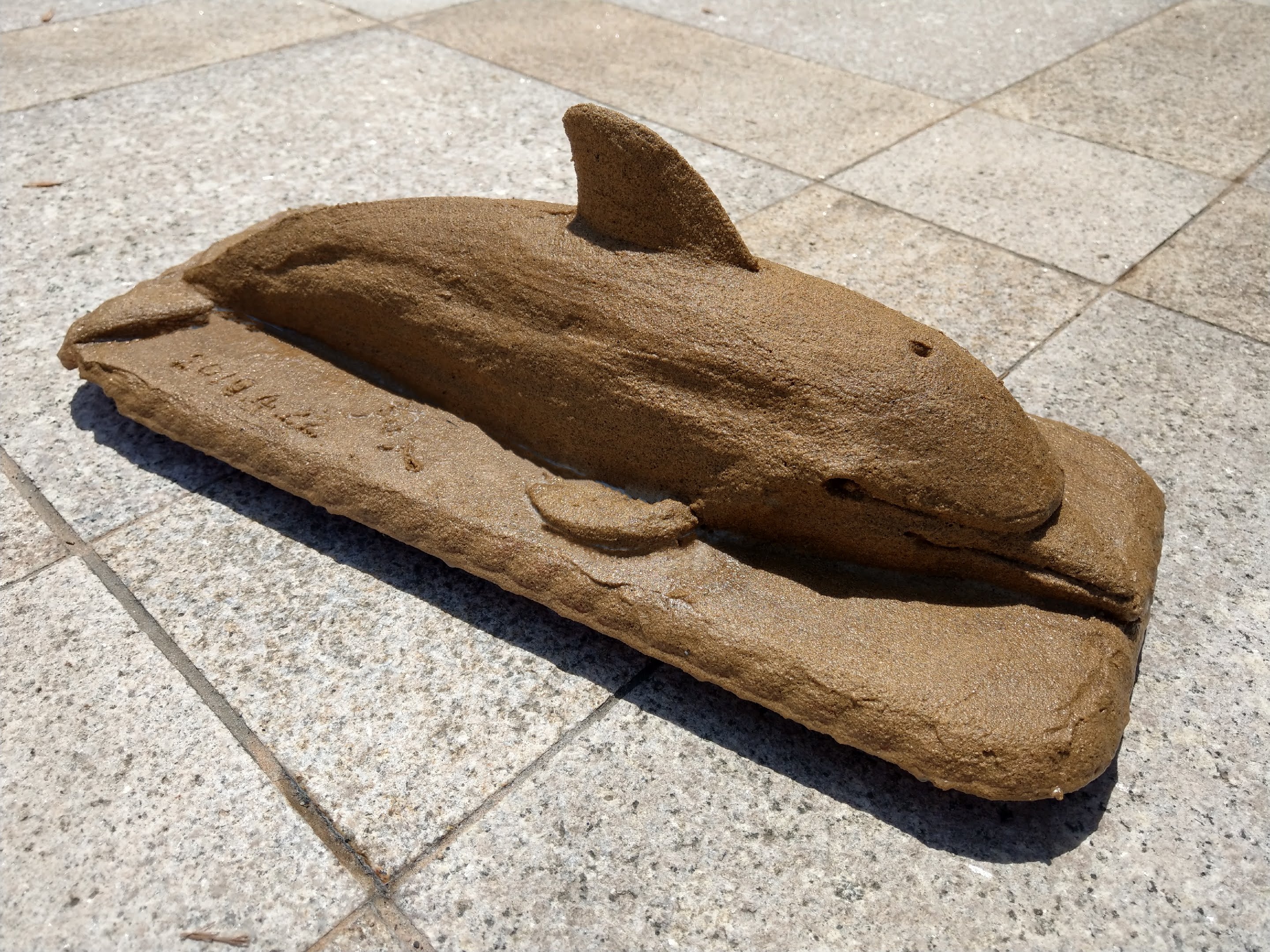 Dolphin sand sculpture