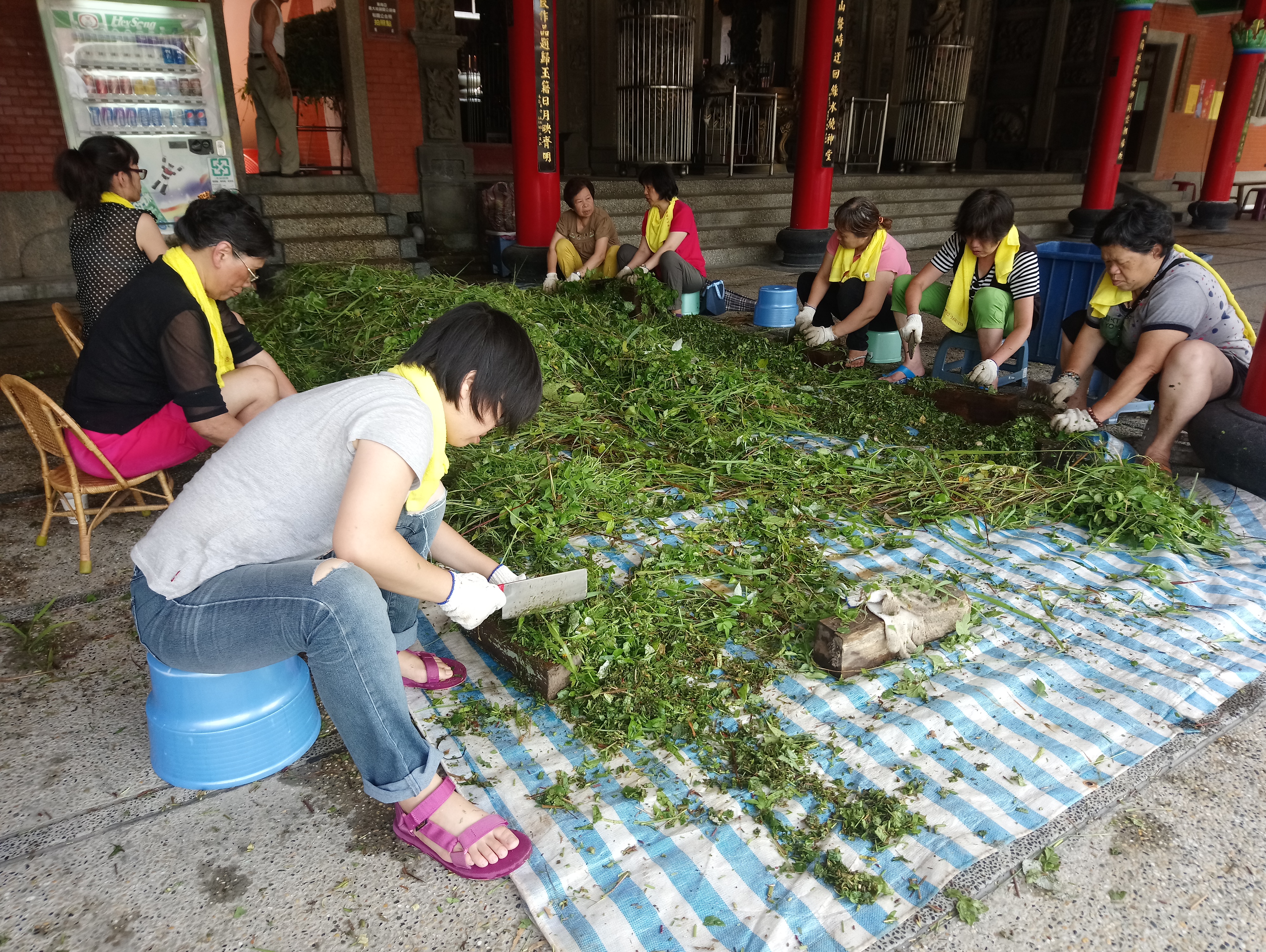 Đón một trăm loại thảo mộc - lễ hội tái chế dưa đá cỏ - một chương trình